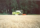 Claas Drescher 75